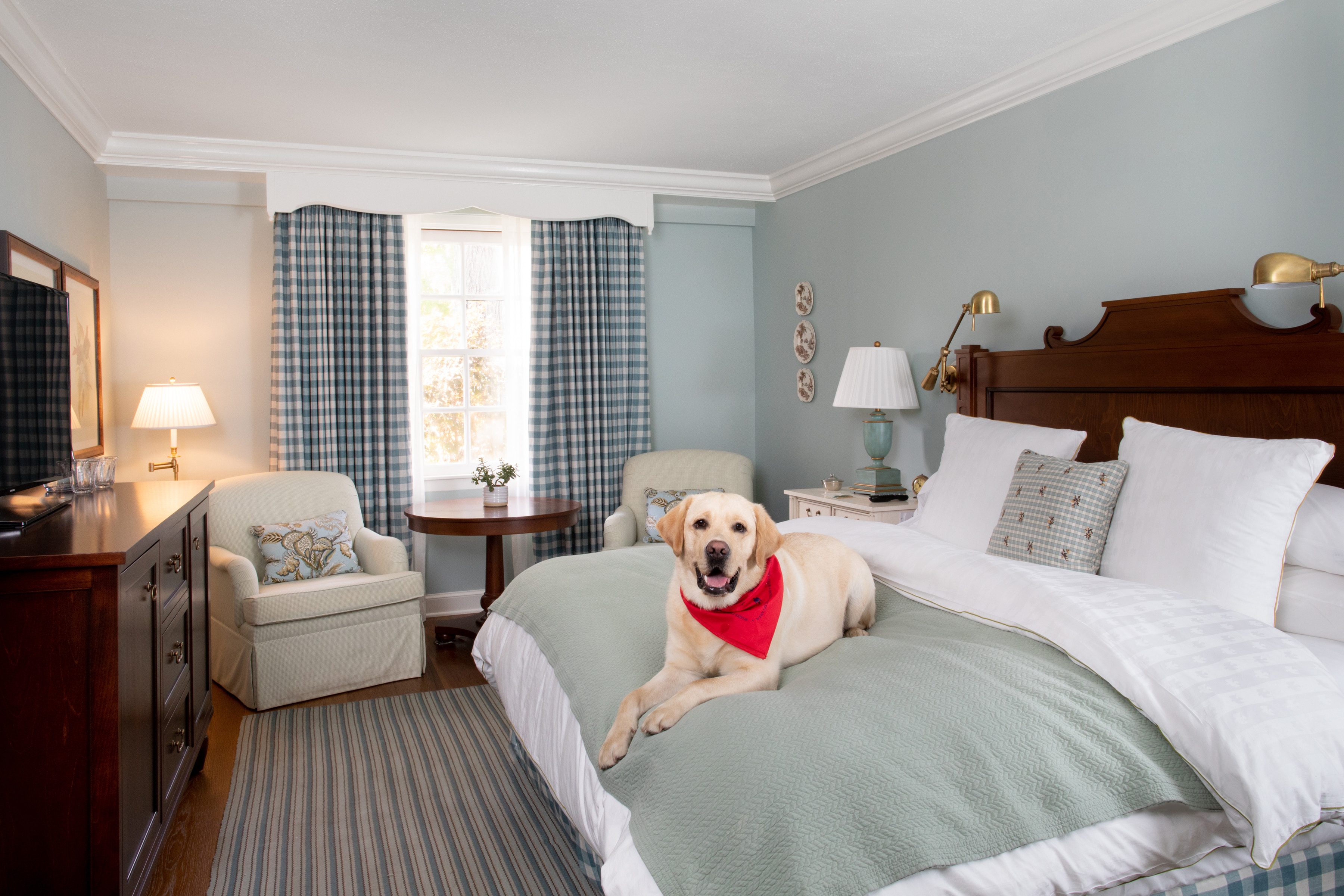 Pet Friendly Rooms