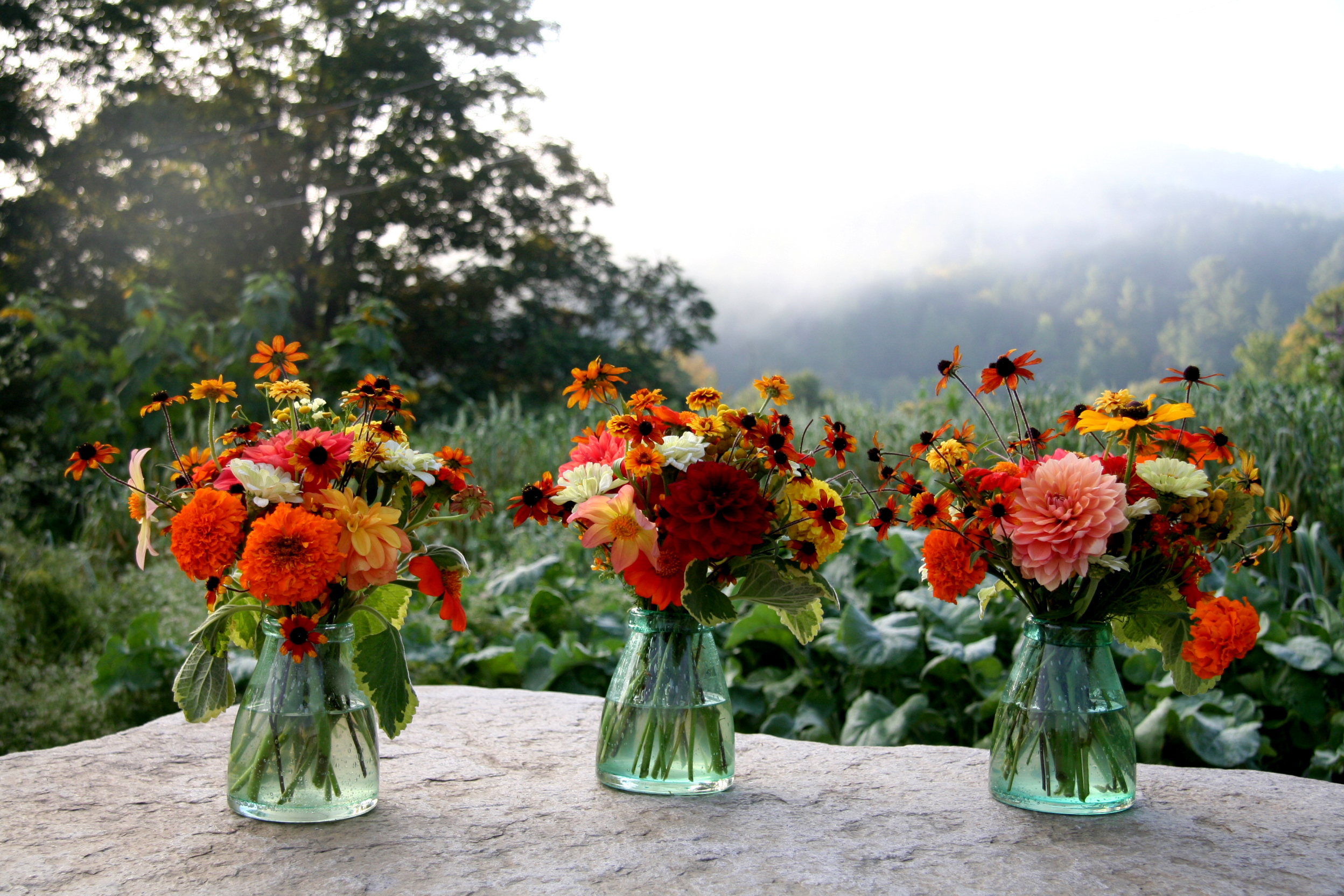 Flowers from the Garden