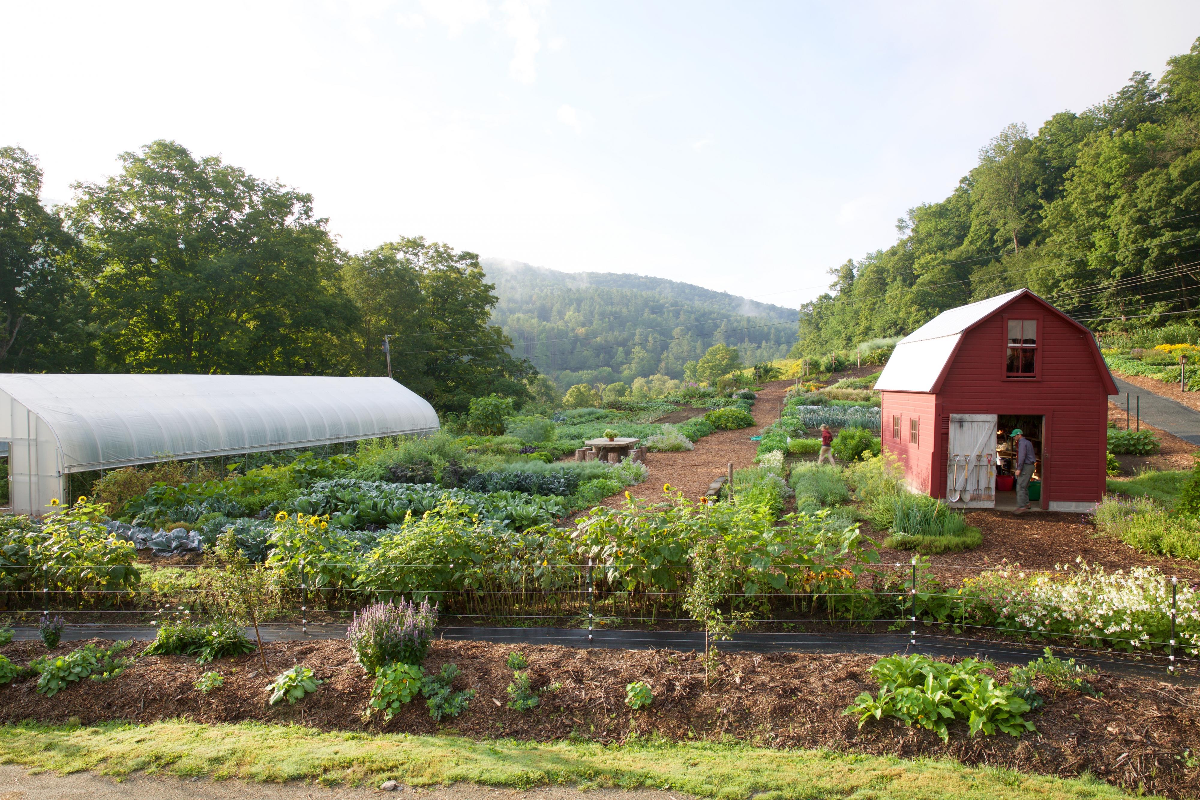 Gardens