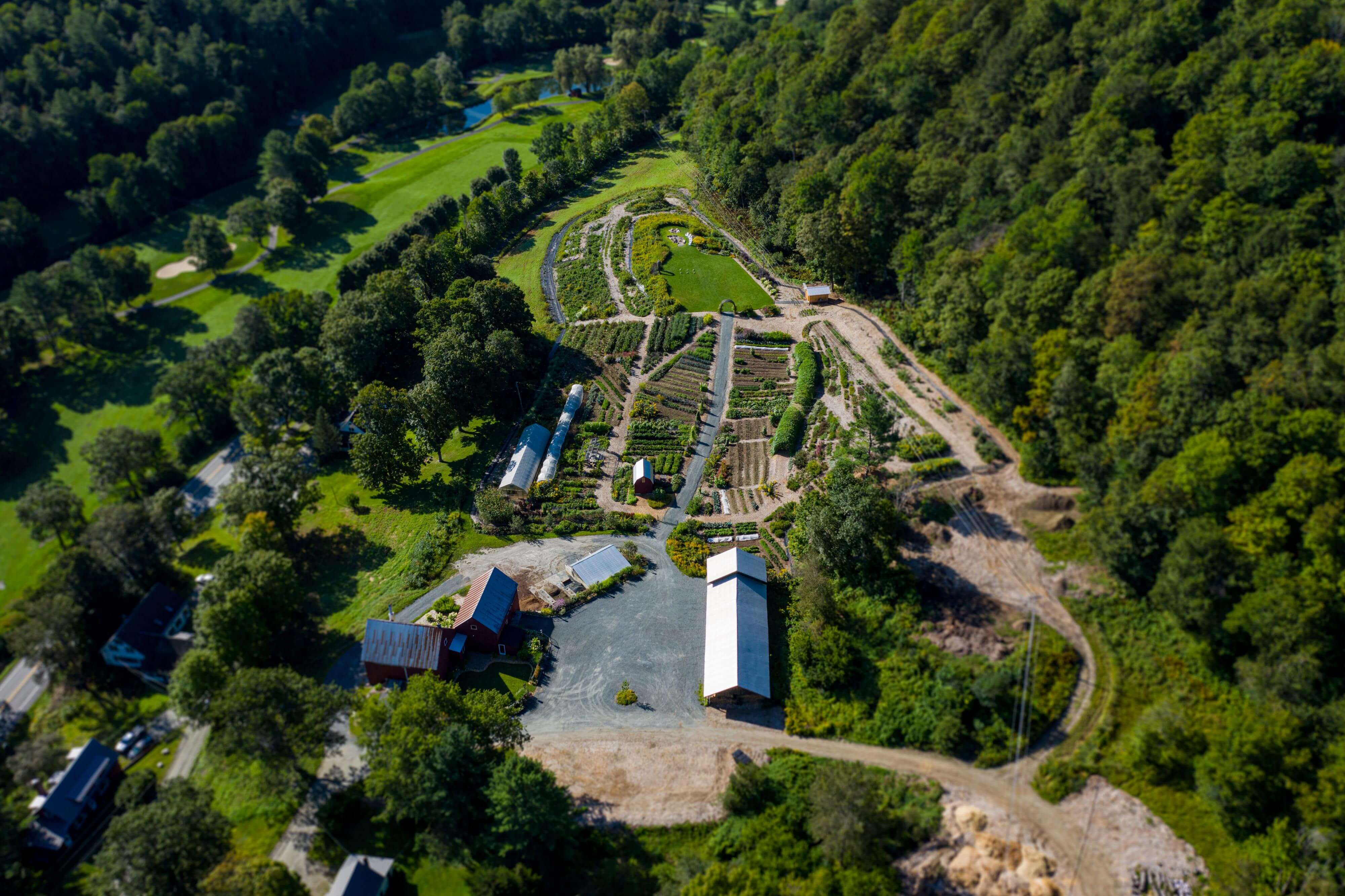 Aerial of gardens