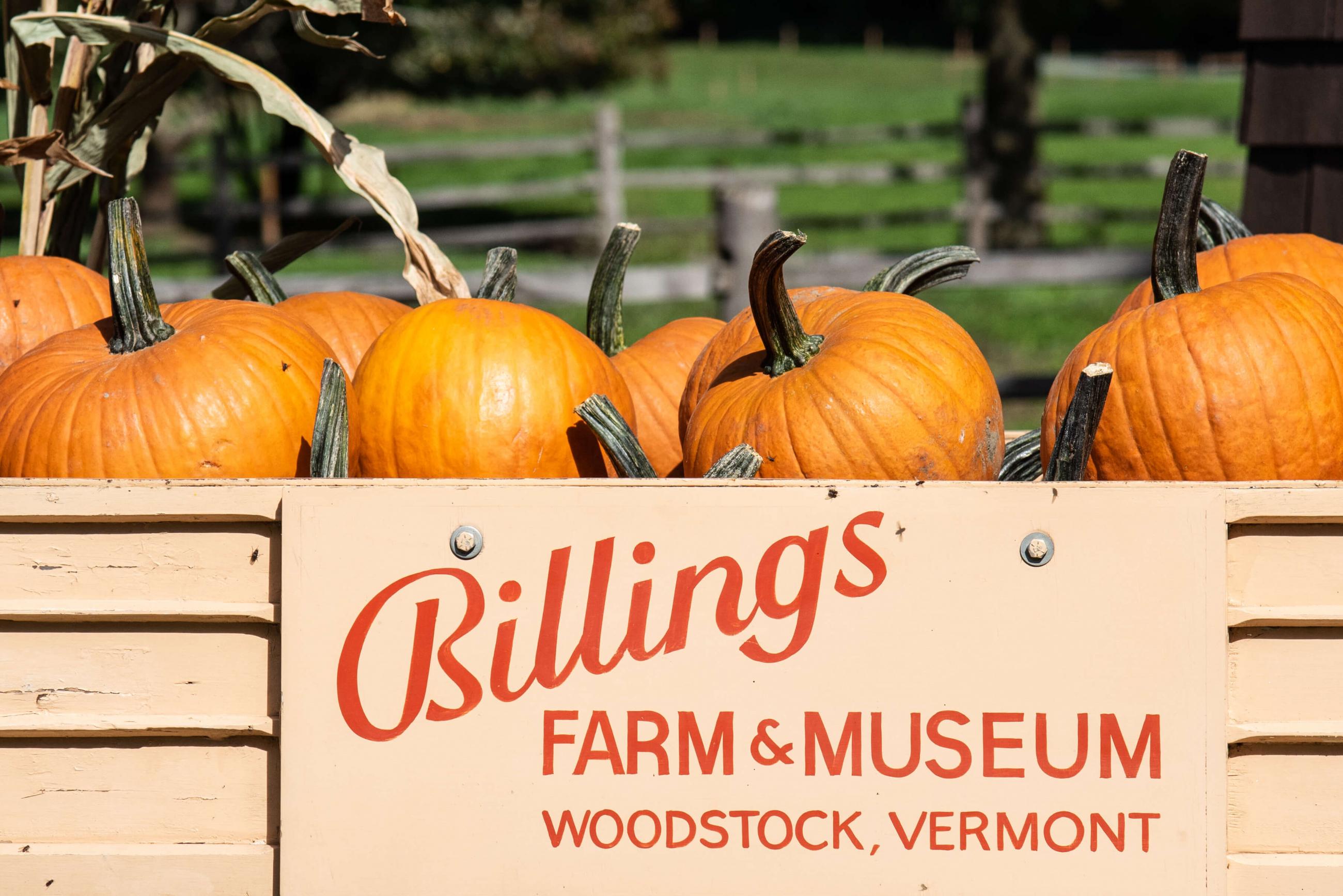 Harvest Celebration The Woodstock Inn and Resort