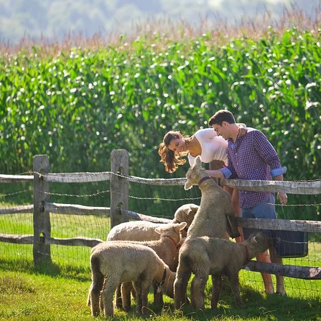 Billings Farm