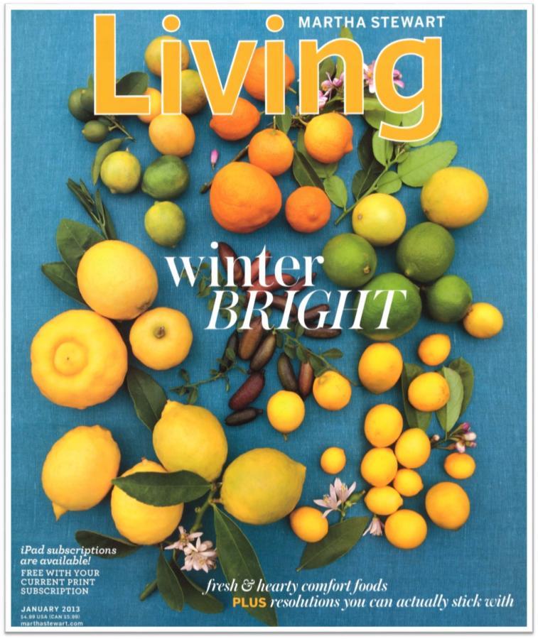 Martha Stewart Living Cover