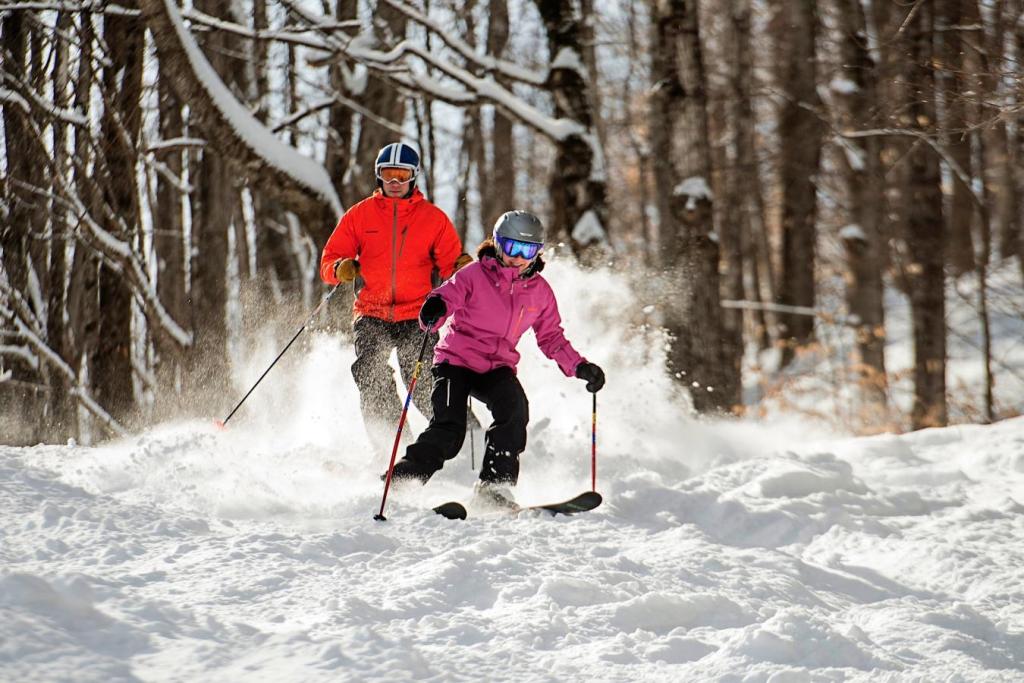 Ski Fodor Travel