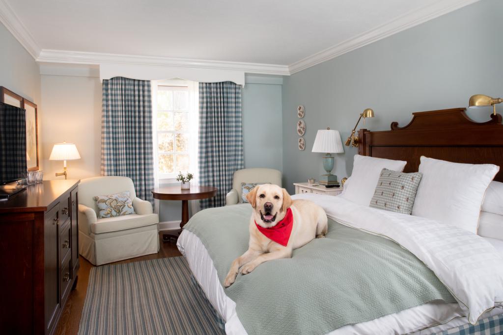 Pet Friendly Rooms