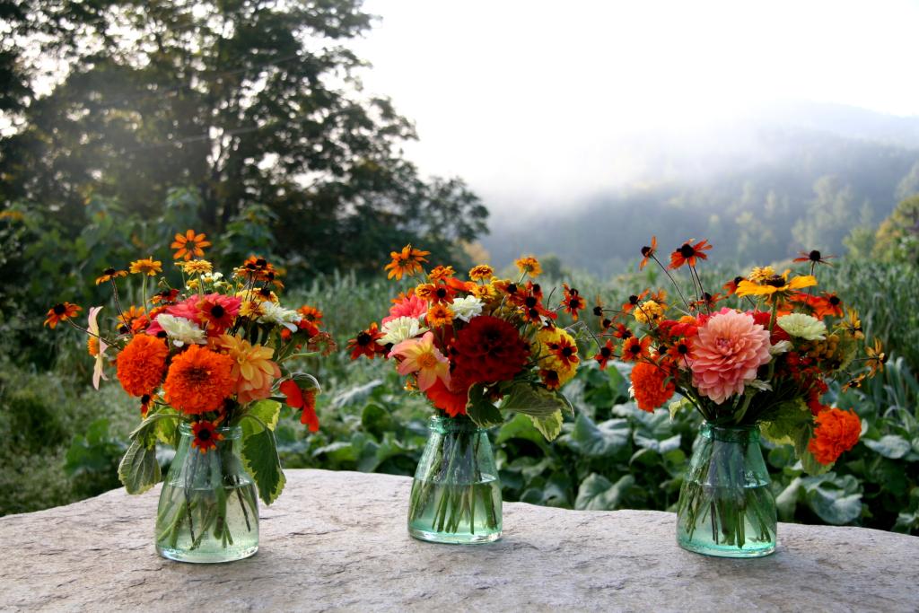 Flowers from the Garden