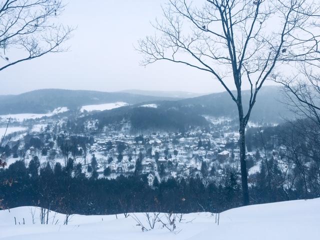 Mt Tom