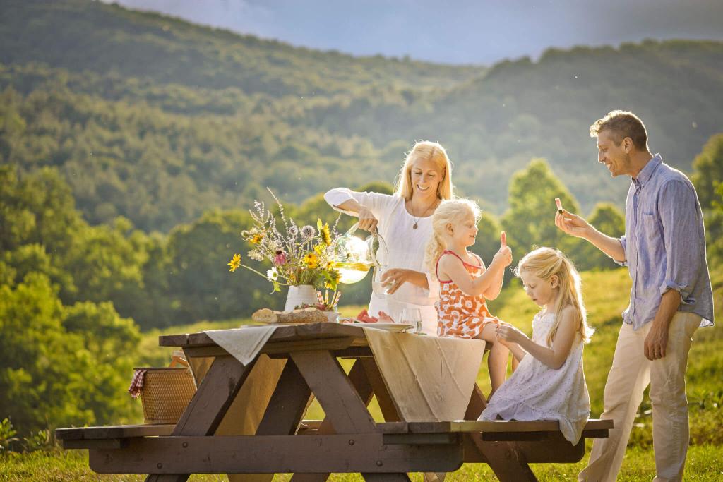Family Picnic