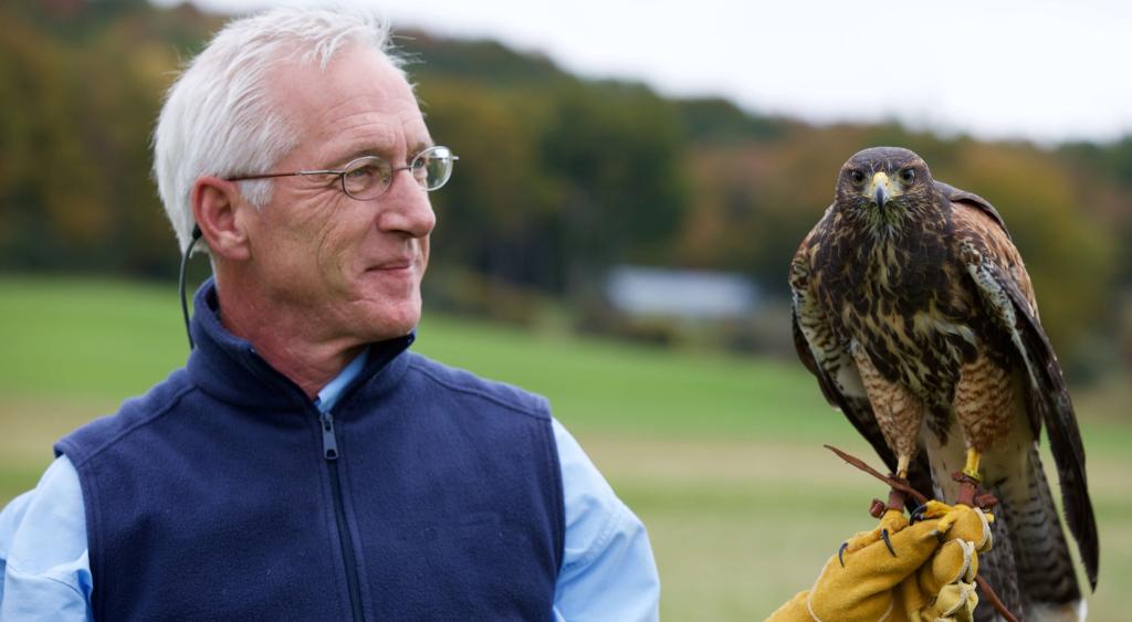 Falconry Experiences