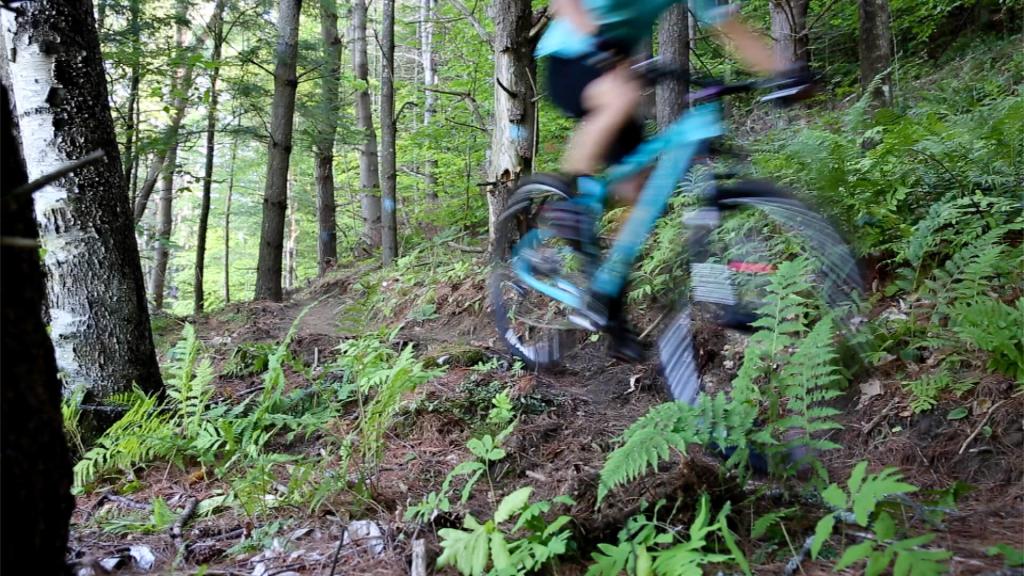 Biking in Woodstock Vermont
