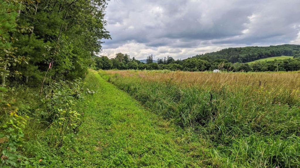 Mowed pathway