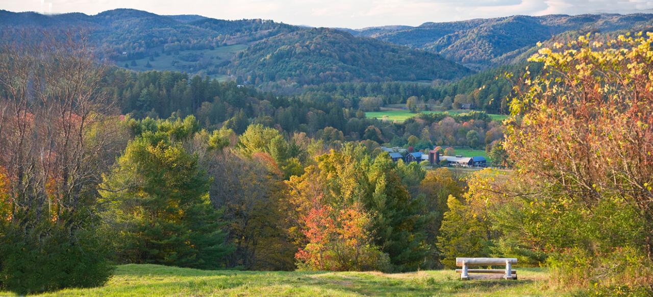 Landscape
