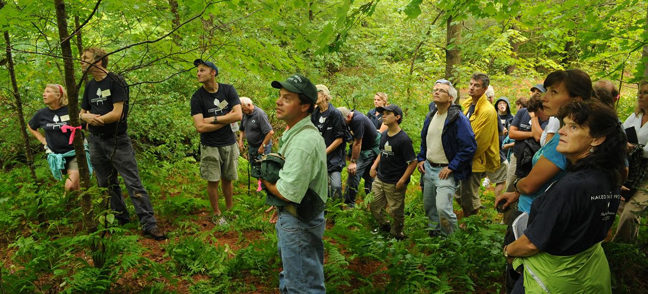 Forest Social Gathering