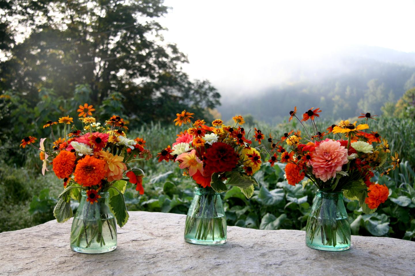 Flowers from the Garden