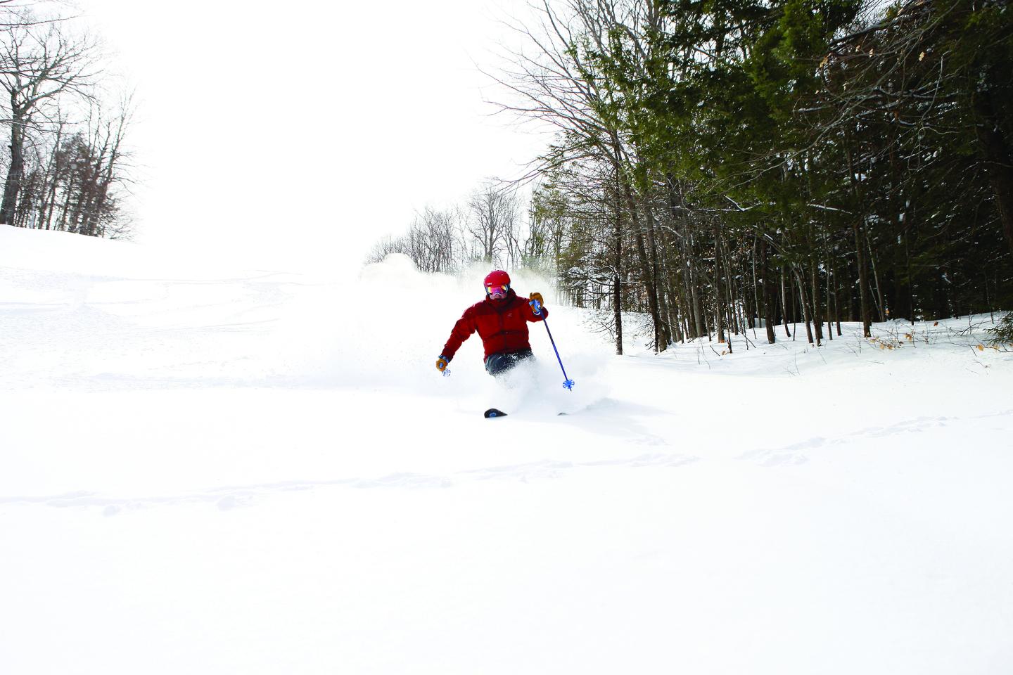 Ski The Face
