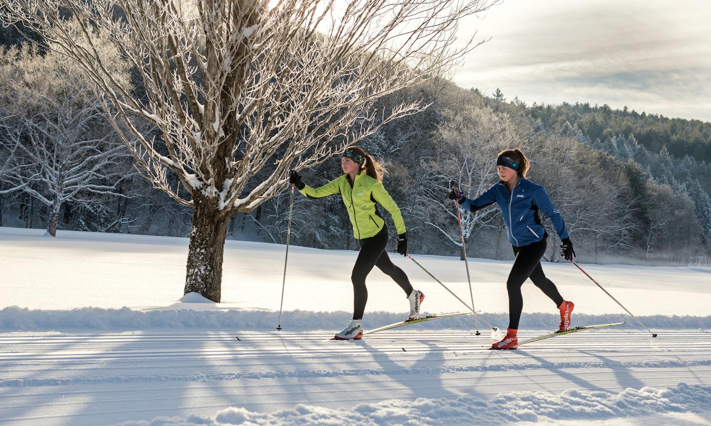 Cross Country Skiing
