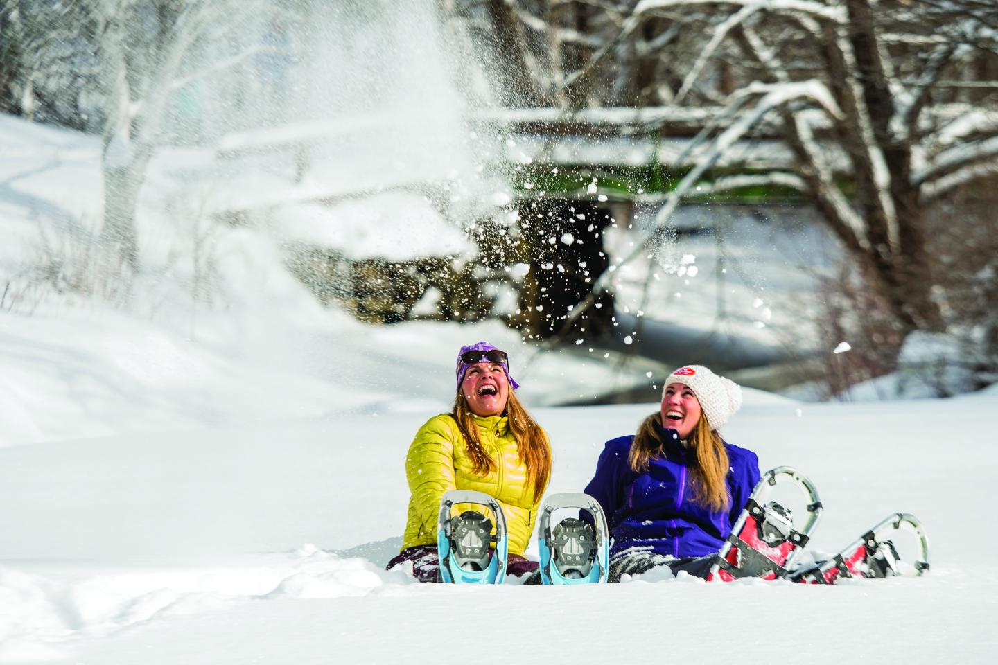 Snowshoe Trek