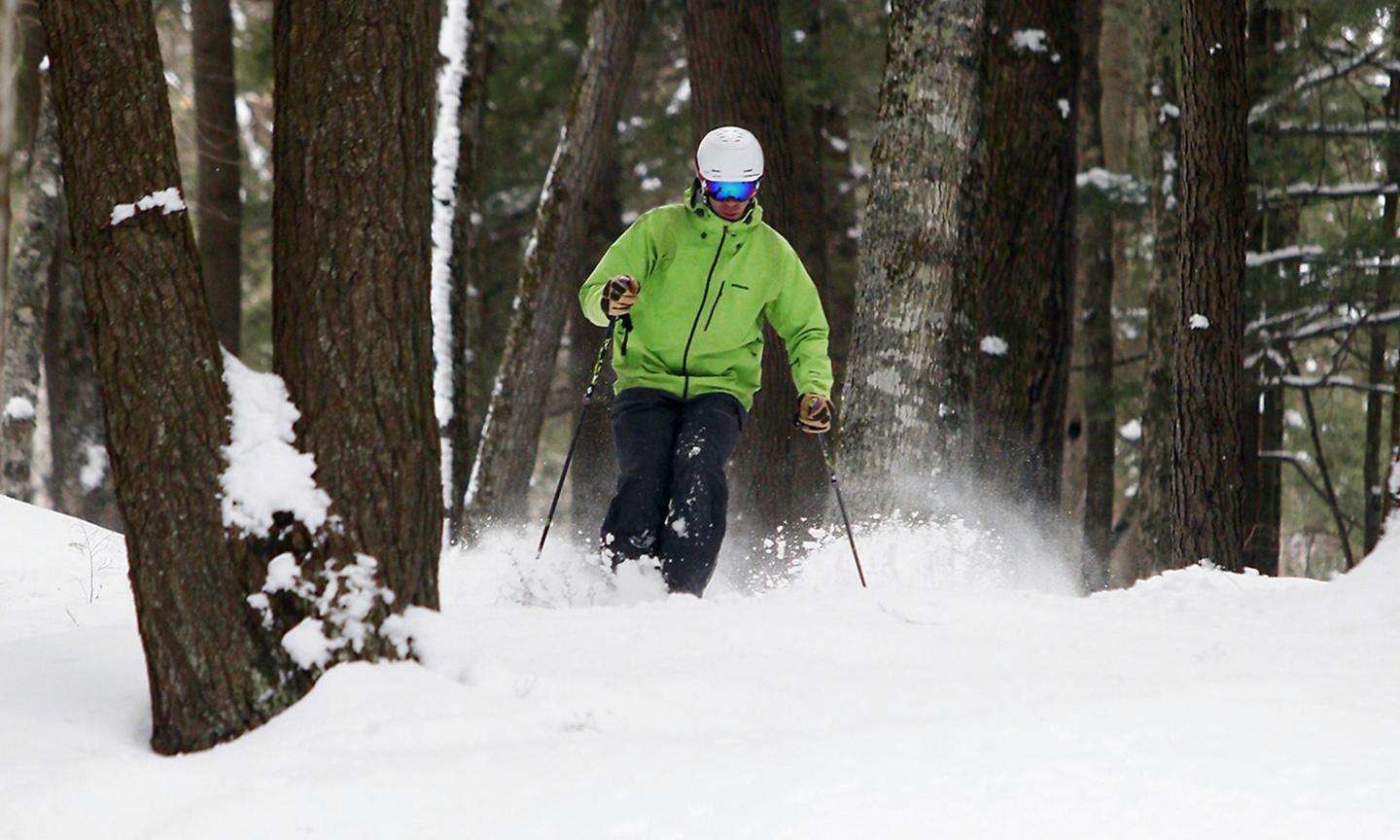 Skiing in the Woods