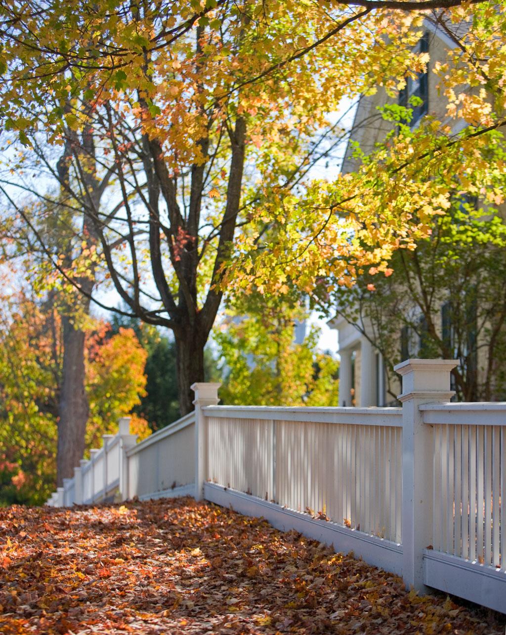 Foliage in Woodstock, Vermont