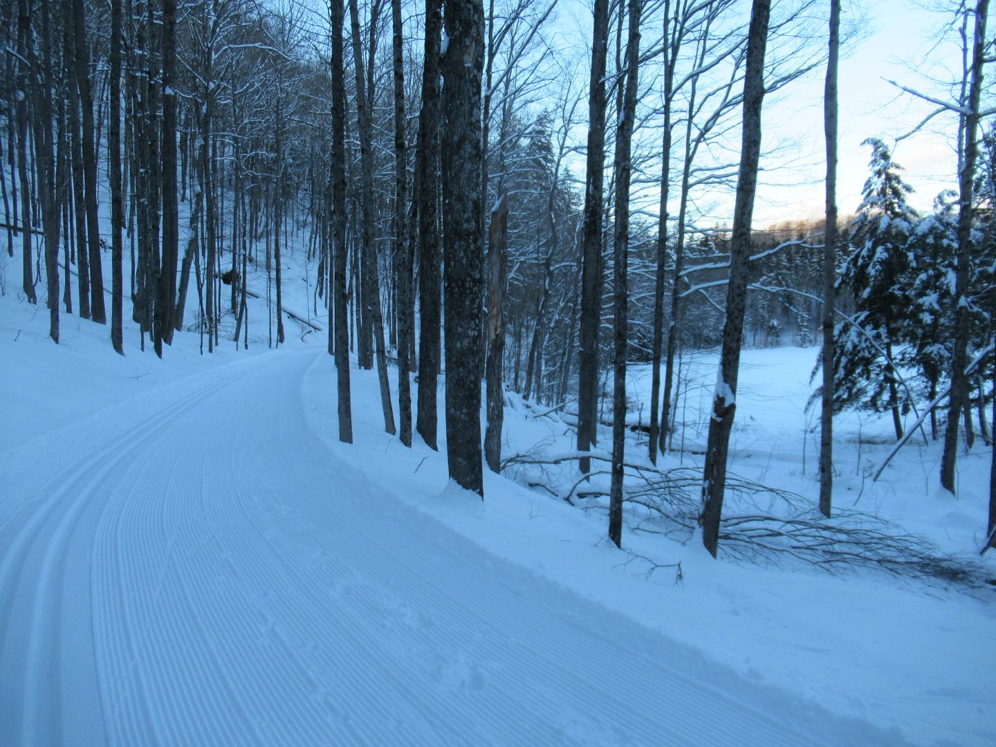 The Pogue on Mt Tom last evening