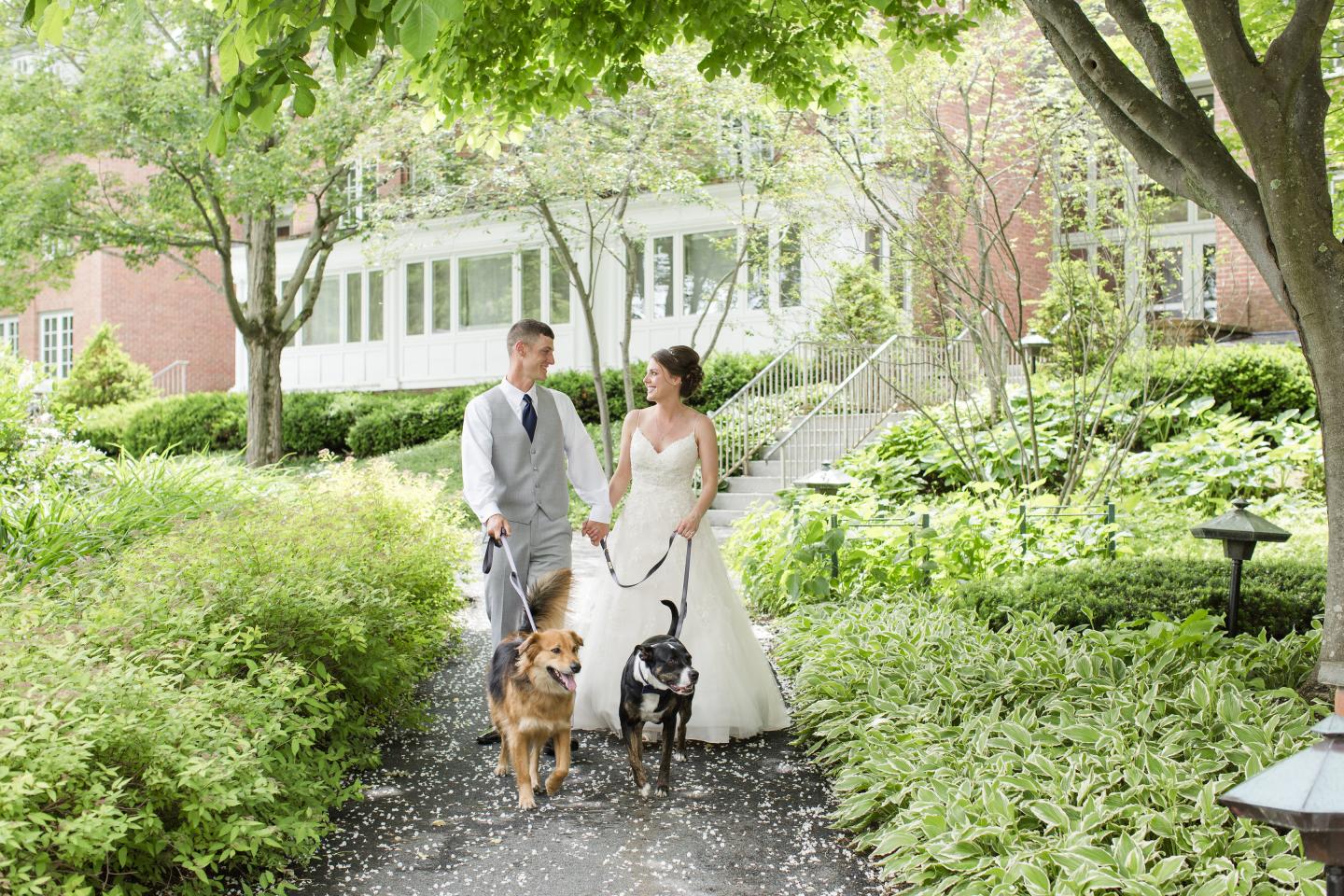 Dog Friendly Wedding