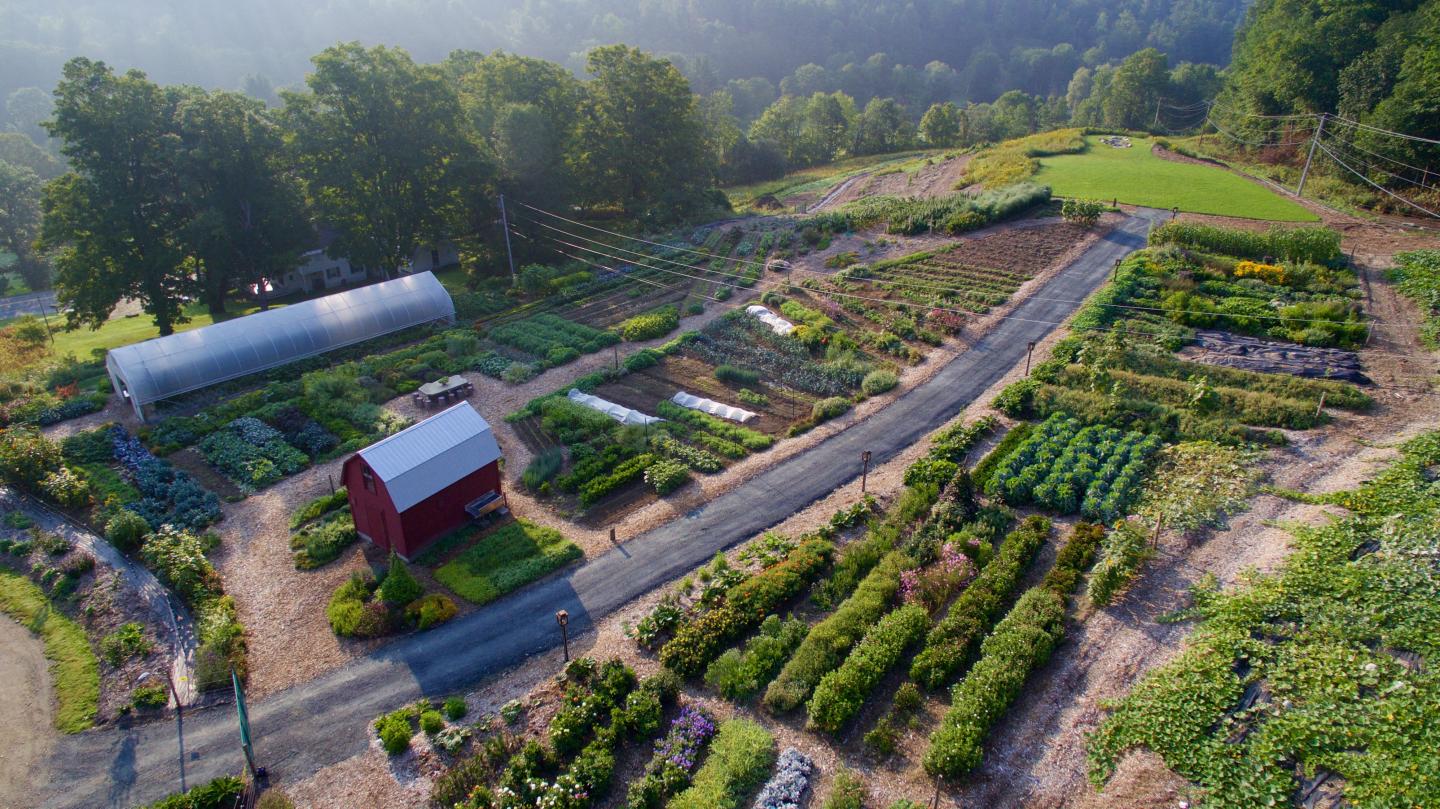 Aerial of Gardens