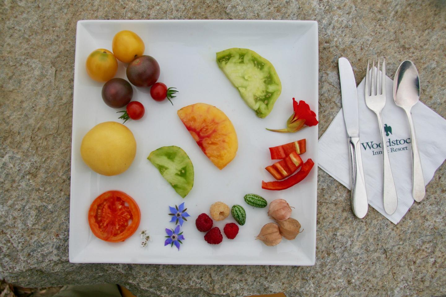 Tomato Tastings