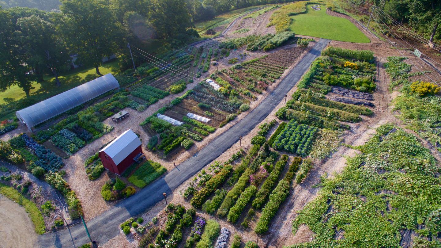 Garden aerial