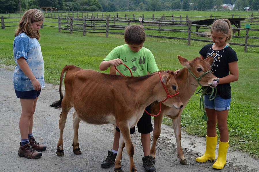 Farmer Camp Kids with Cow