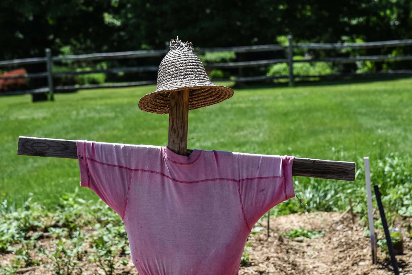 Billings Farm Garden