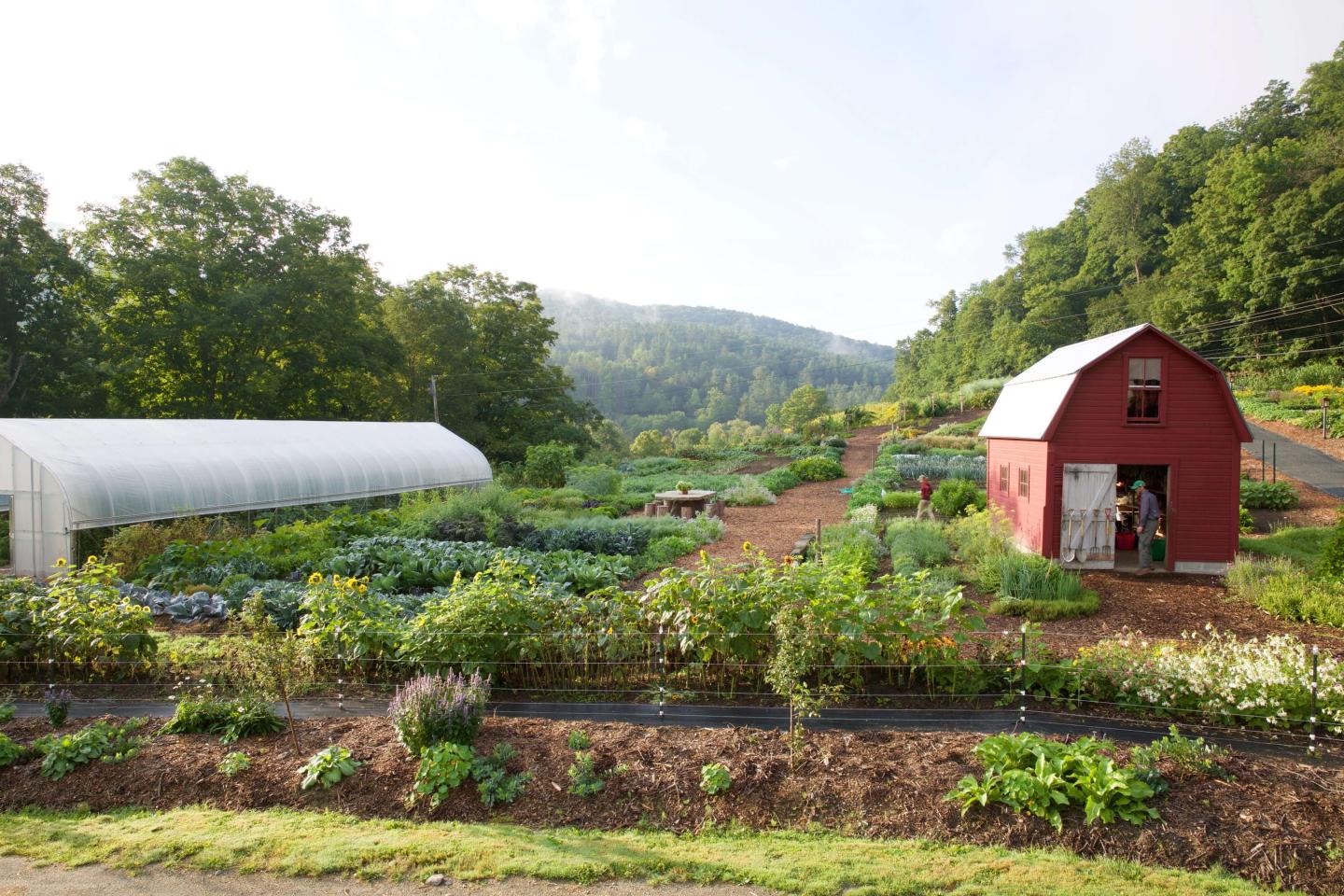 Kelly Way Gardens