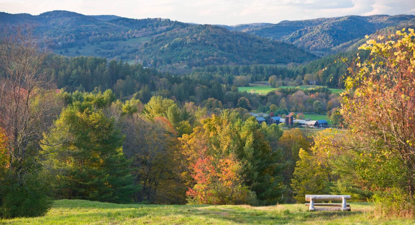 View of Billings Fram from Mt Peg