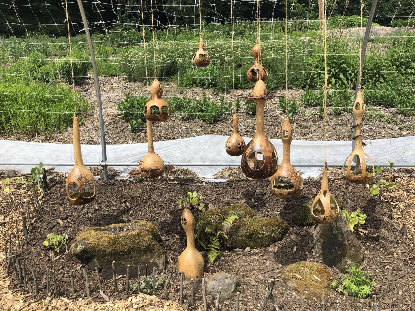 Gourd Fairy Houses