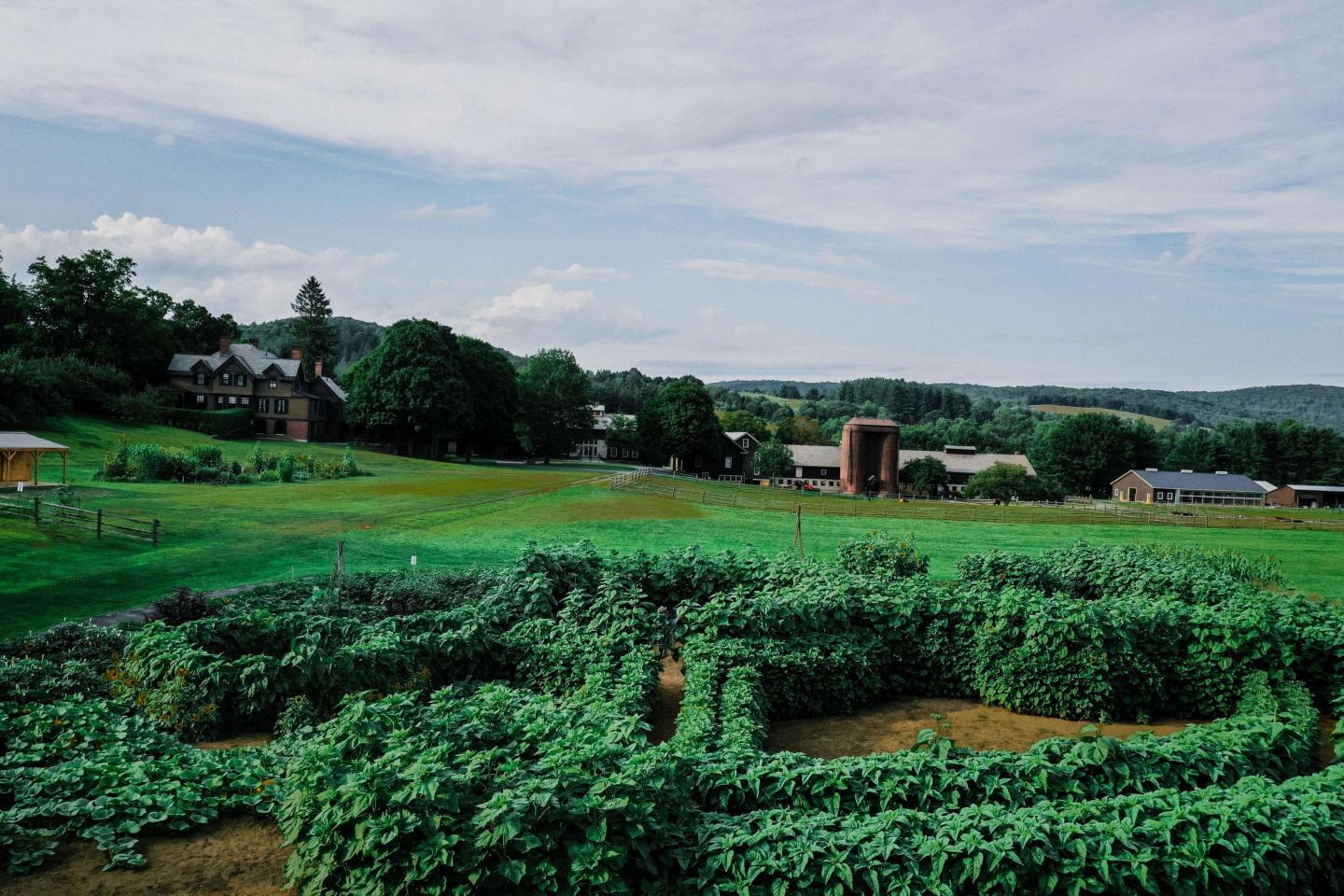 Sunflower House at Billings Farm & Museum