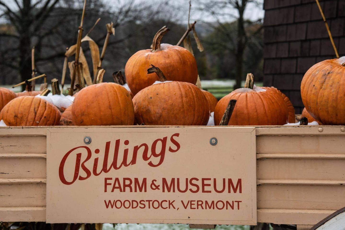 Fall at Billings