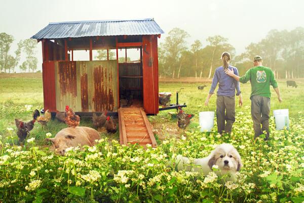 biggest little farm film fest