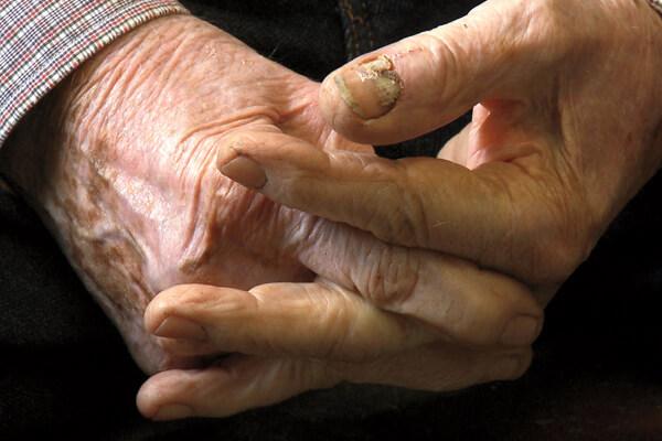 forgotten farms film fest