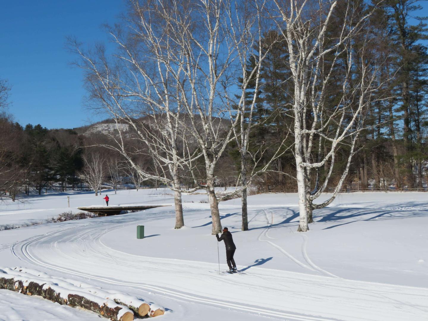 Awesome skiing