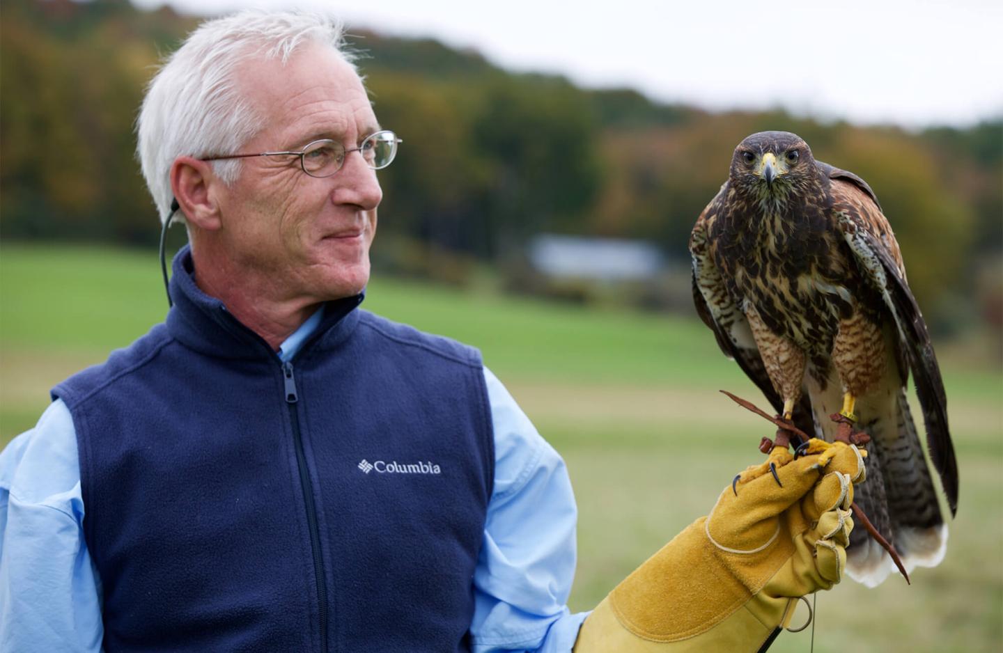Harris Hawk with Chris