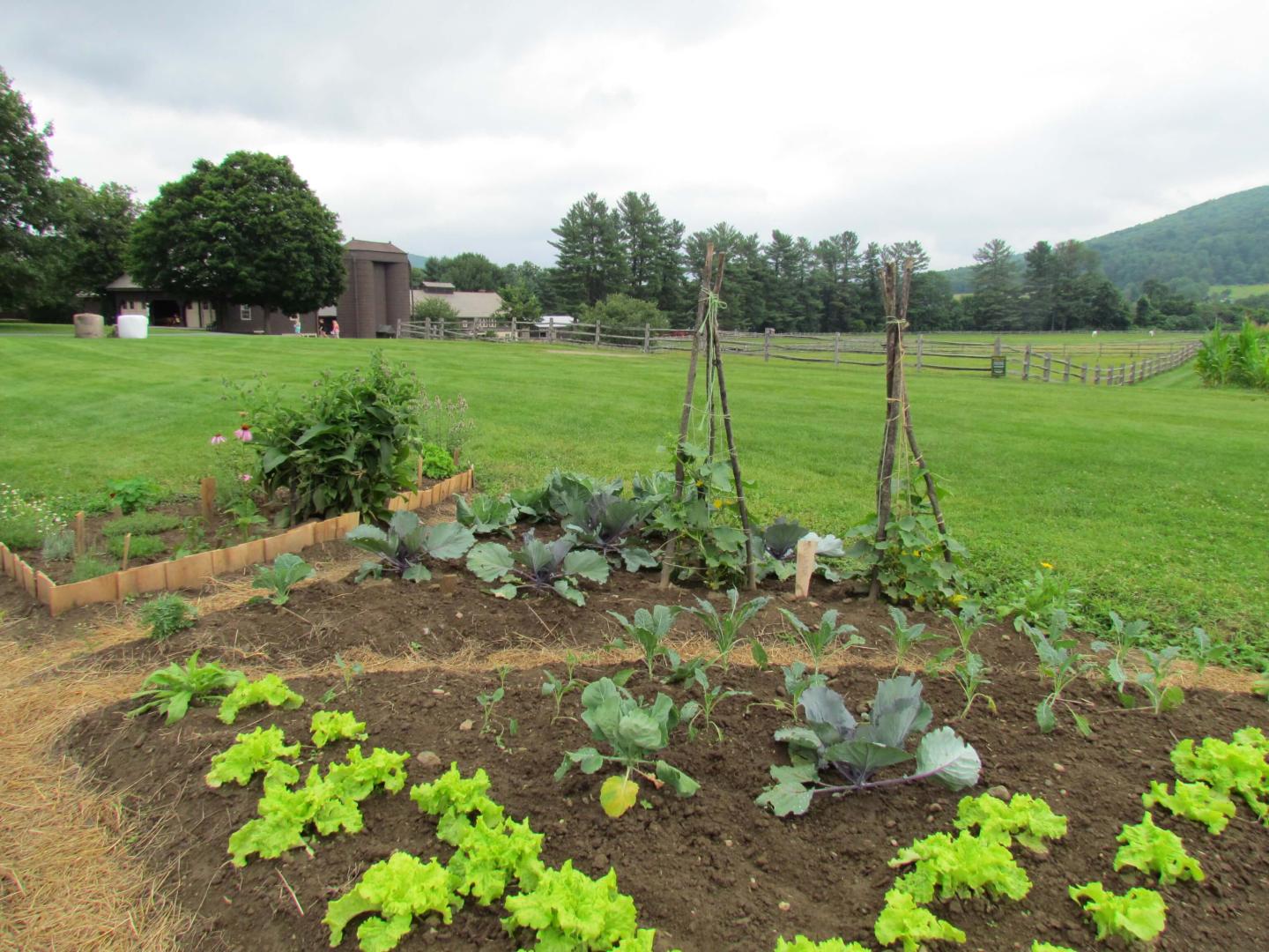 Spring Gardens in Woodstock, VT
