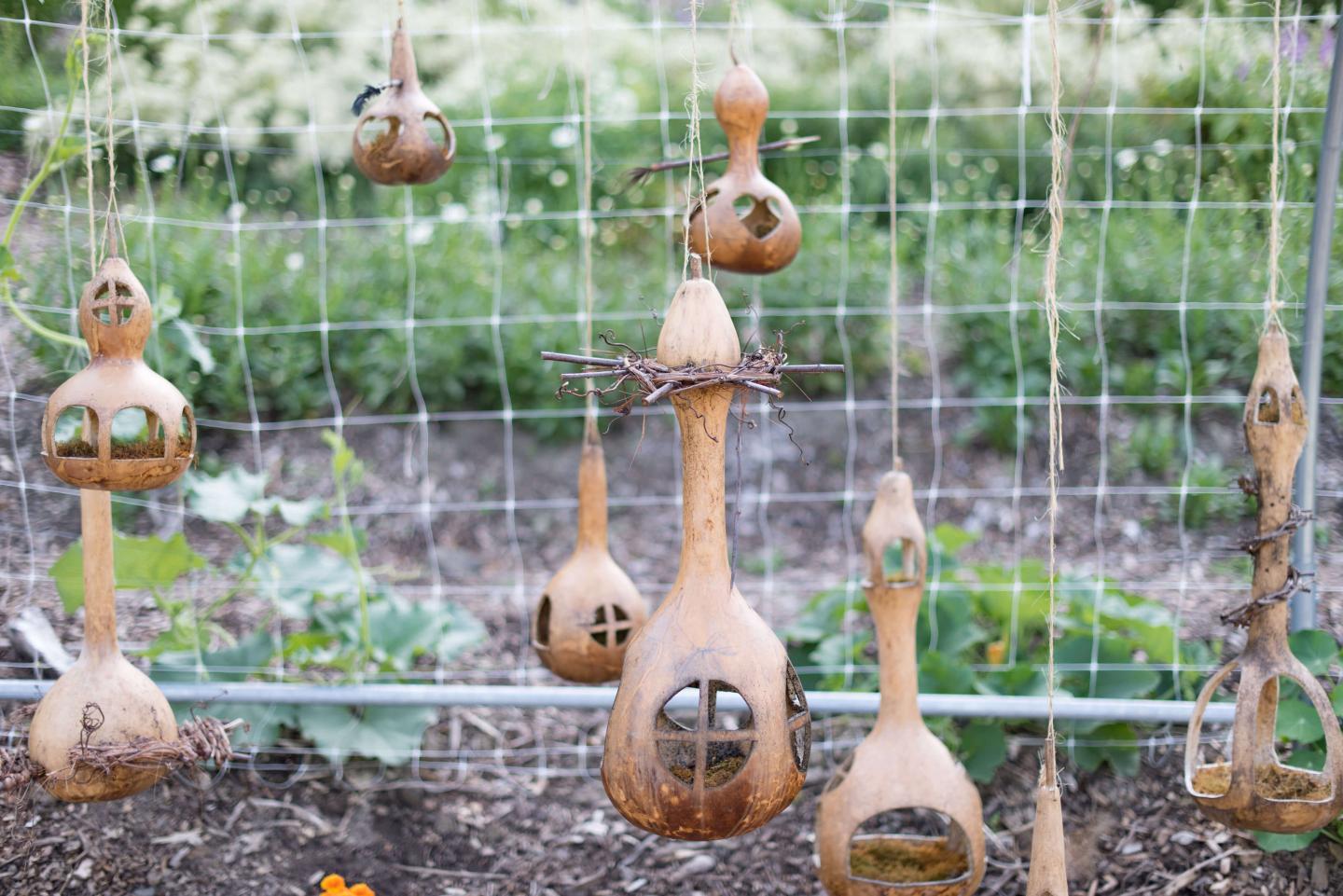 Gourd Fairy Houses