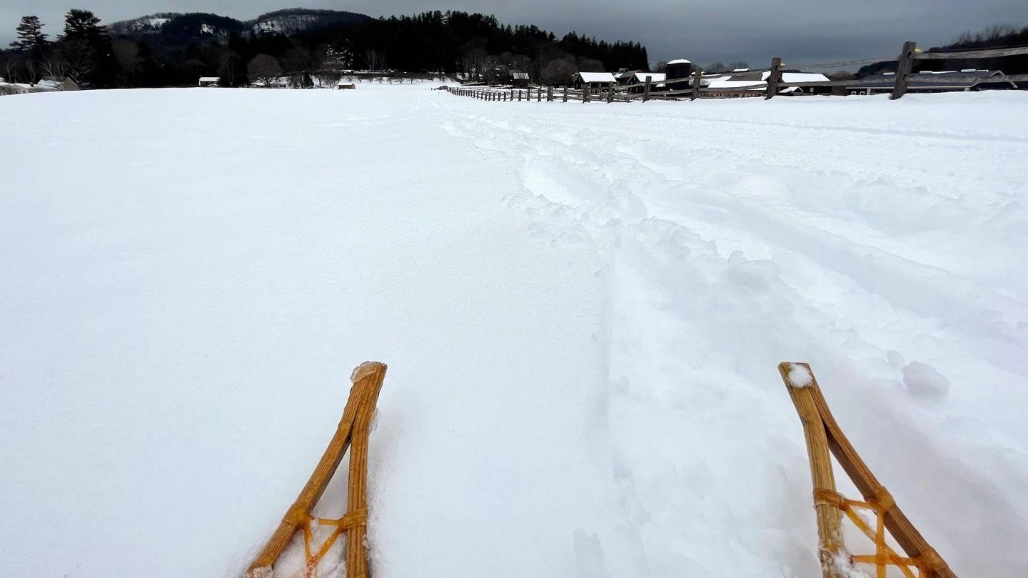 Farm snowshoe