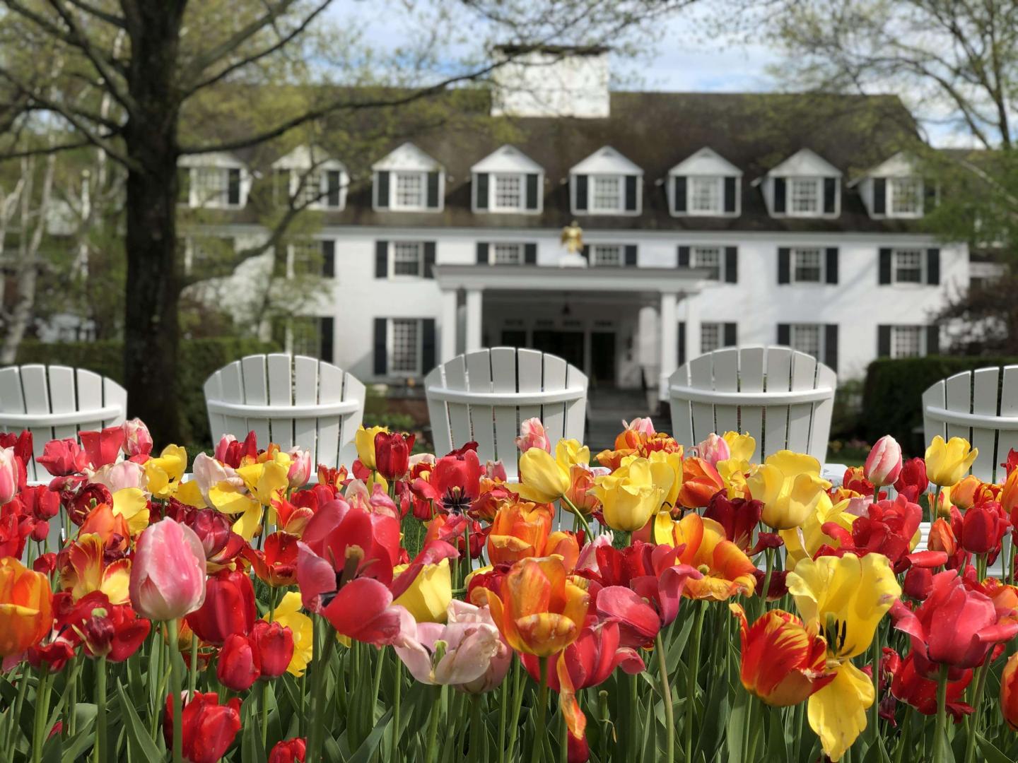 Spring Exterior Inn