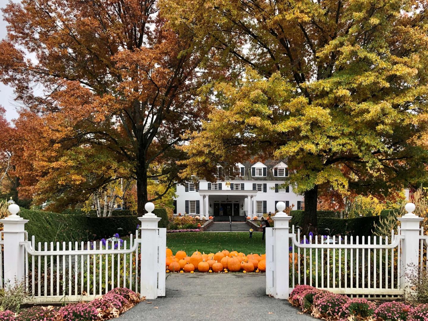 Woodstock Inn pumpkins