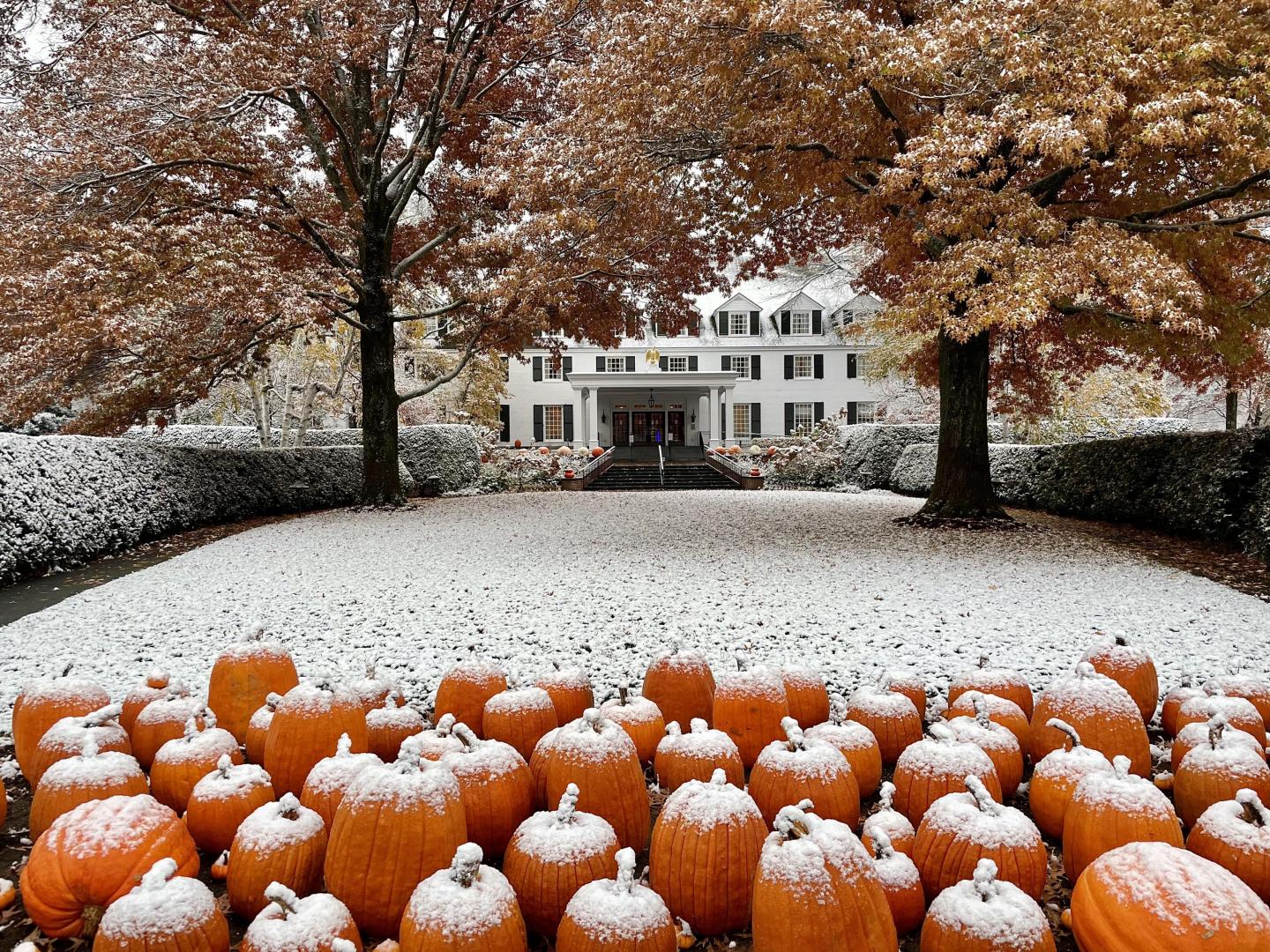 Snowliage at the Inn