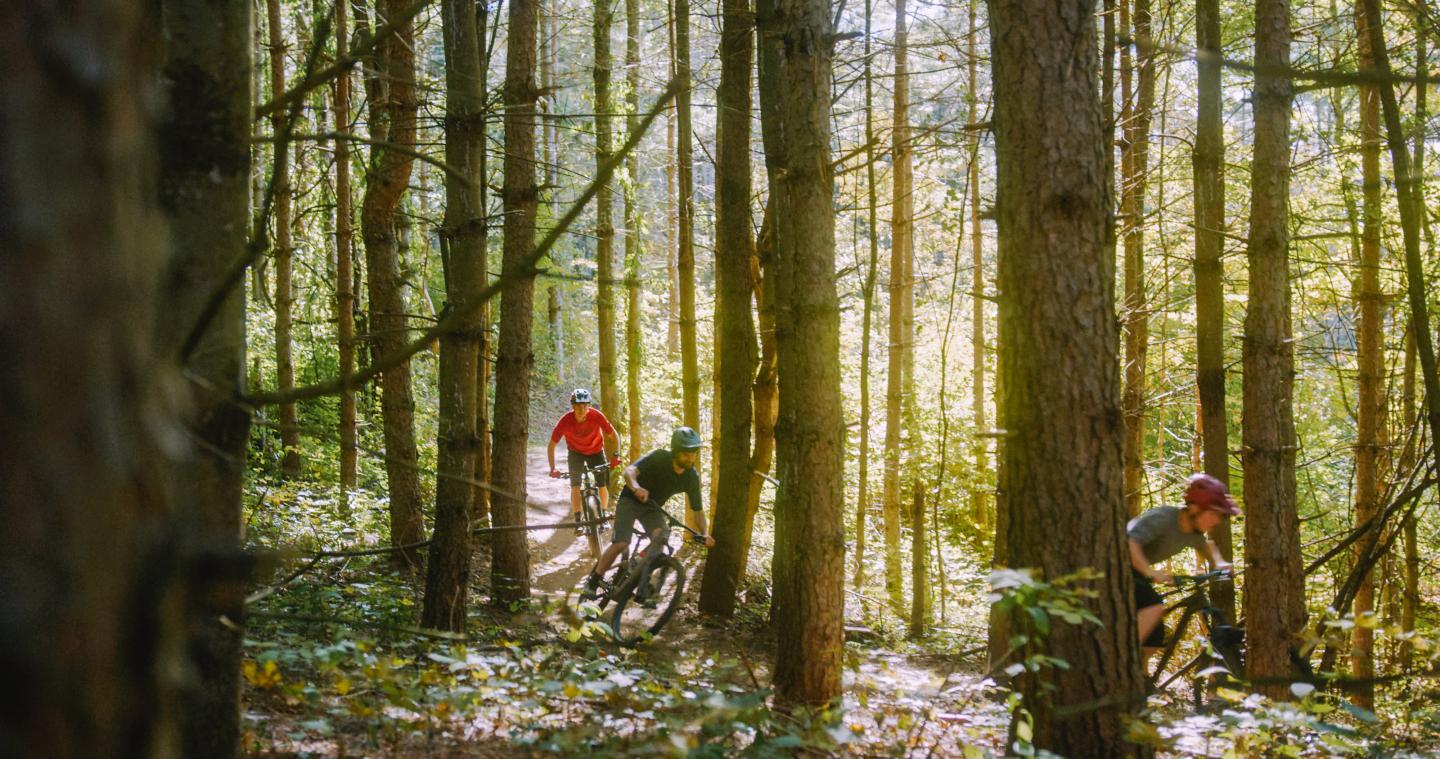 Woodstock Vermont Bike Trails