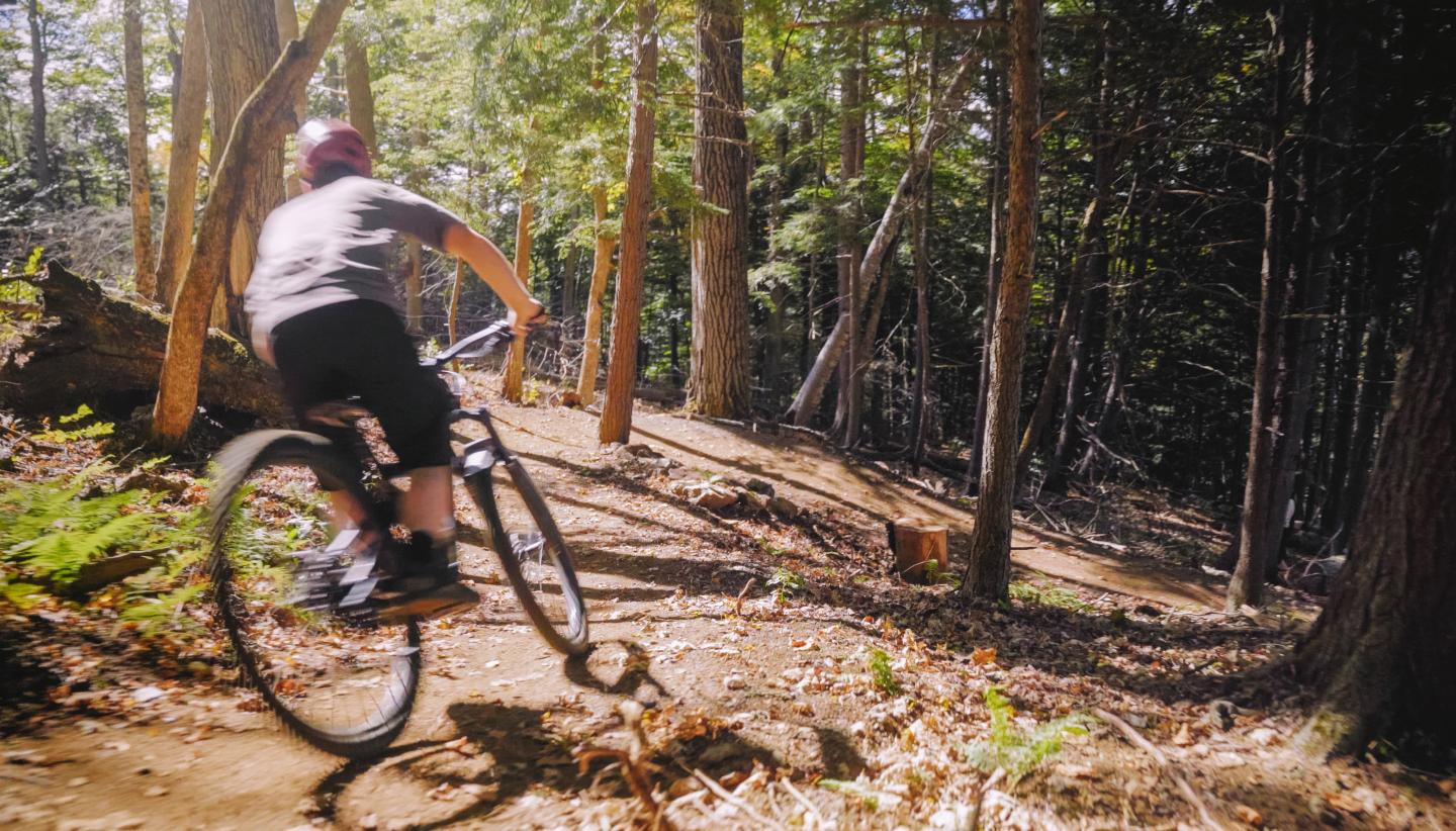 Mountain Bike Woodstock