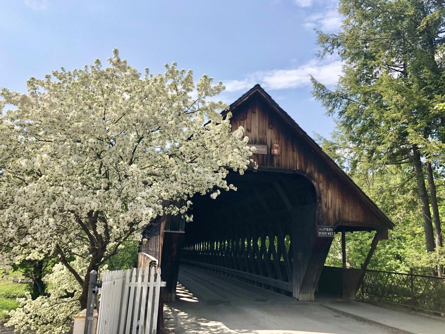 Spring Covered Bridge