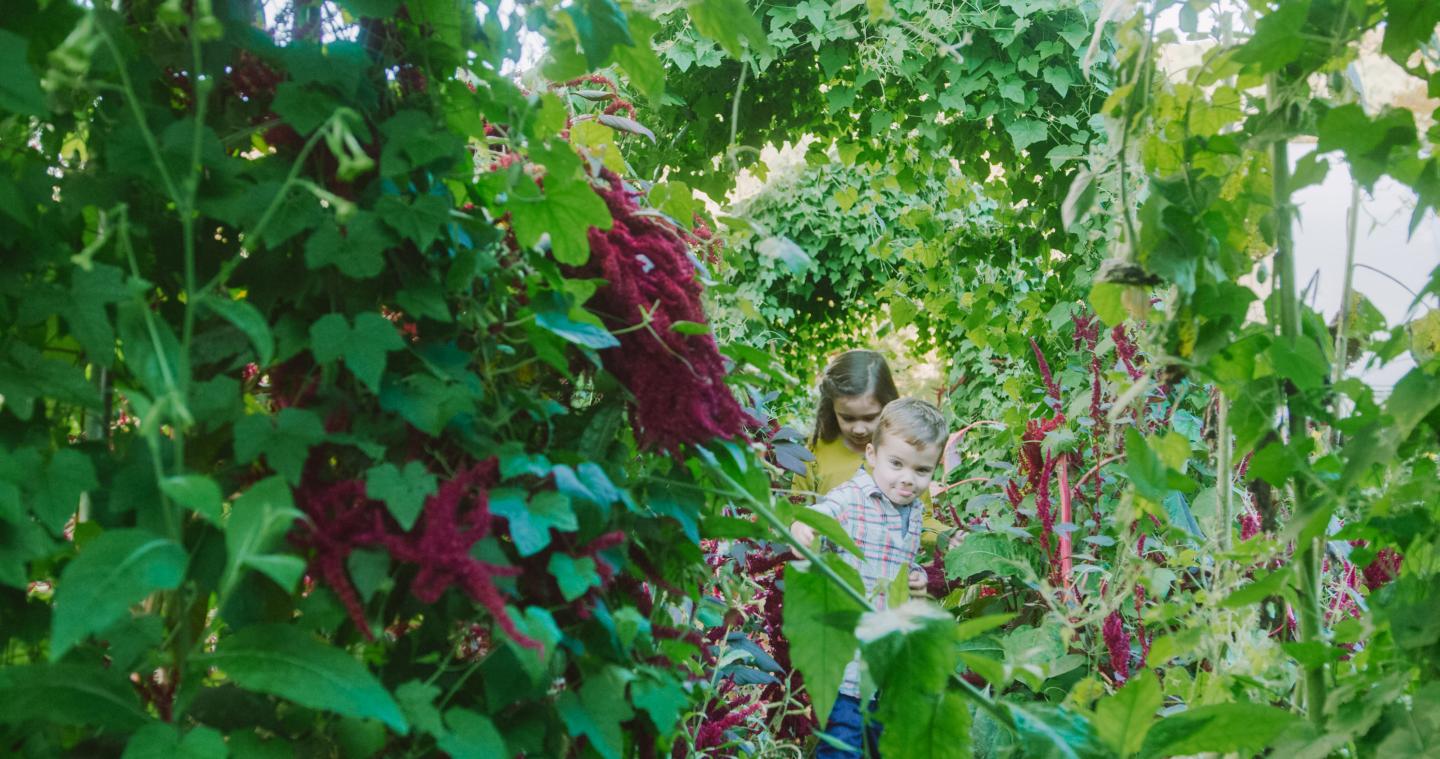 Kelly Way Garden Tours