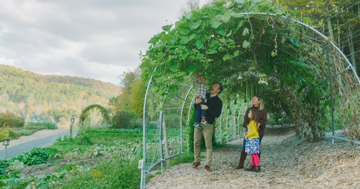 Gourdwalk in Kelly Way Gardens